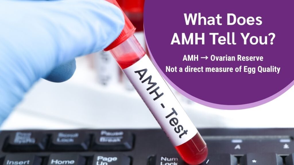 AMH blood test and ovarian reserve explained